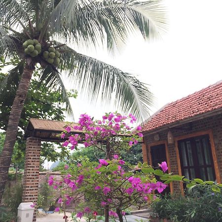 Tam Coc Vinh Thinh Homestay Ninh Binh Exterior foto